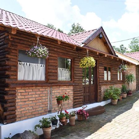 Bed and Breakfast Panorama Lomnica à Despotovac Extérieur photo