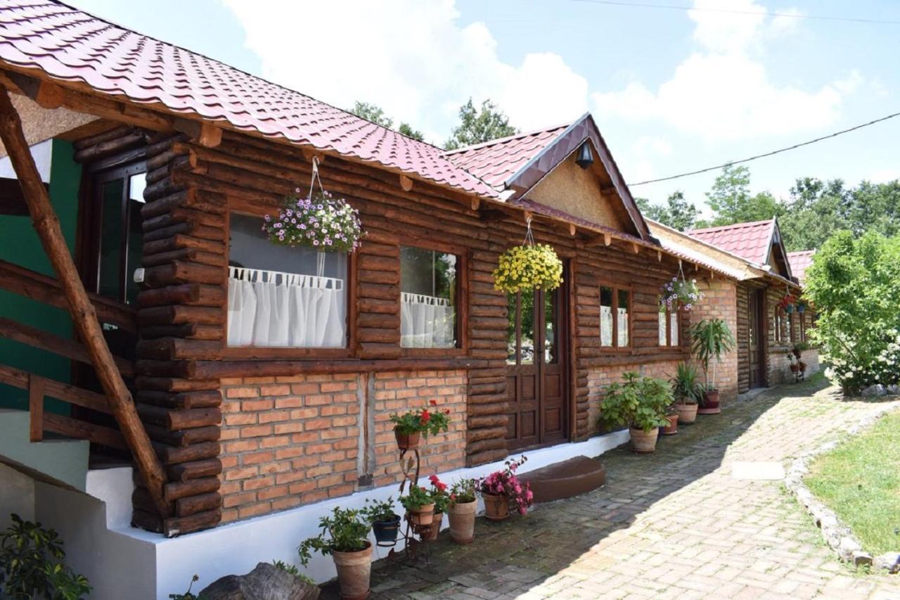 Bed and Breakfast Panorama Lomnica à Despotovac Extérieur photo