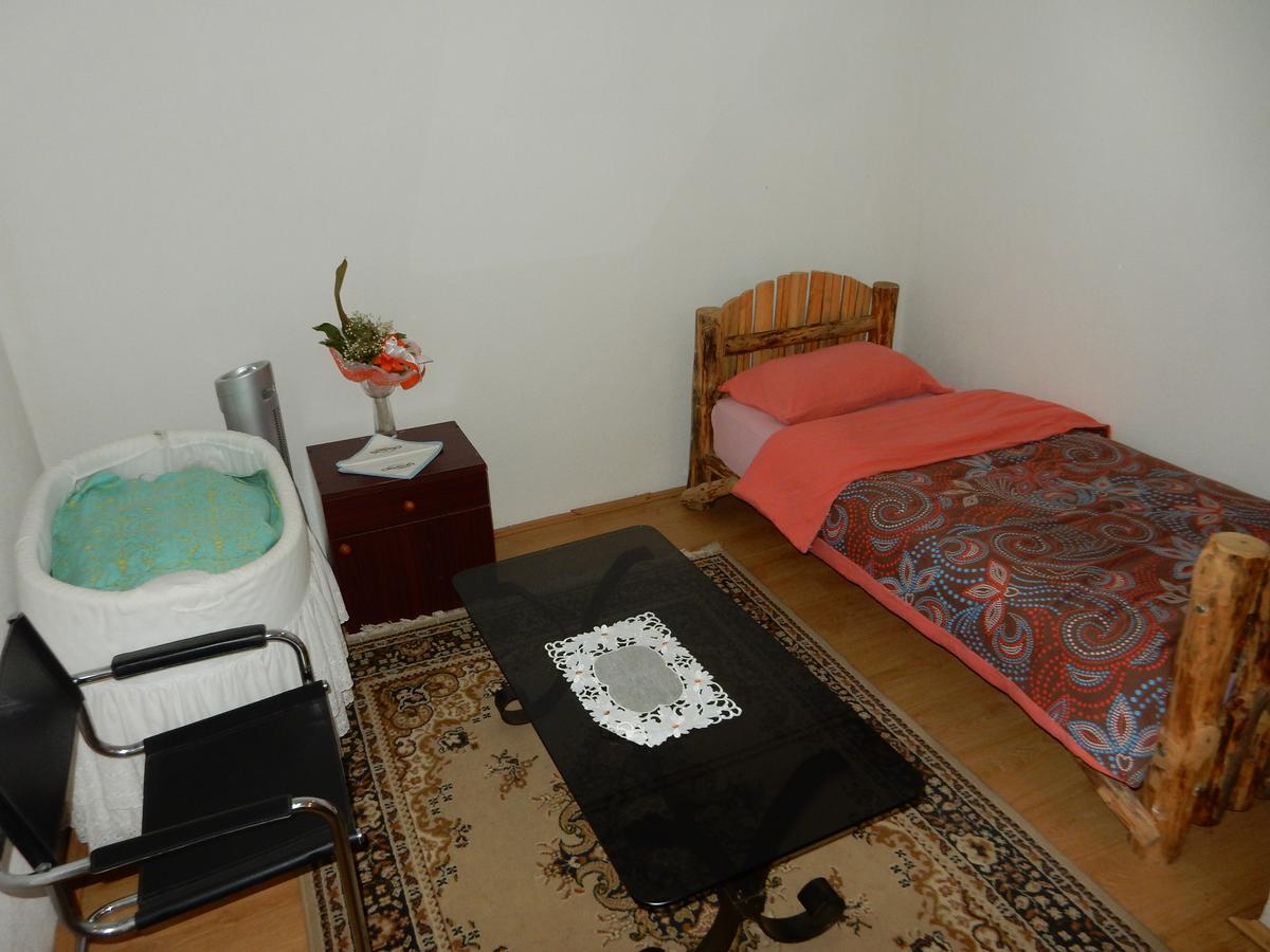 Bed and Breakfast Panorama Lomnica à Despotovac Extérieur photo